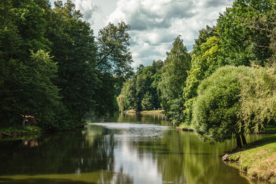 River surrounded by trees in the park of moscow
