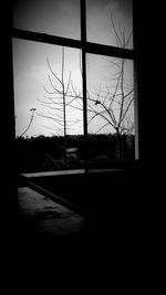Silhouette of bare trees against sky seen through window