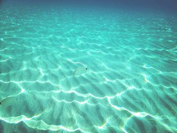 Full frame shot of water surface