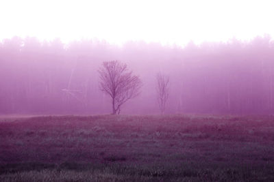 Scenic view of field against cloudy sky