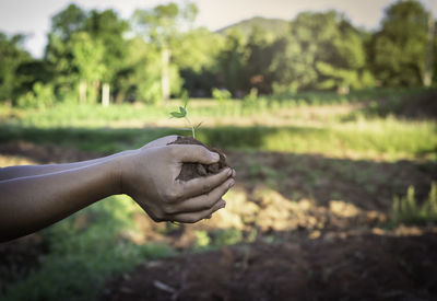 Close-up of hand holding leaf