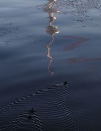 Reflection of clouds in water