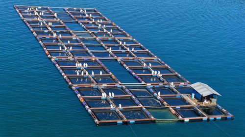 High angle view of birds perching on fishing cage in lake