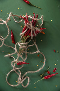 High angle view of red flowers