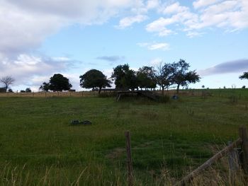 Scenic view of grassy field against sky