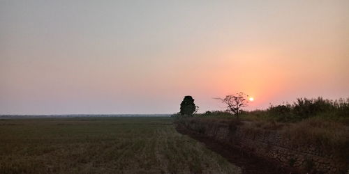Scenic view of field against sky during sunset