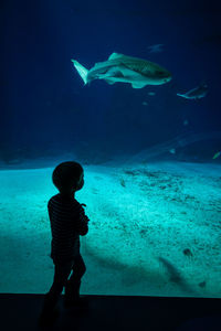 Rear view of child standing at aquarium watching a shark swimming by