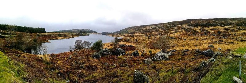 Panoramic shot of trees on landscape against sky