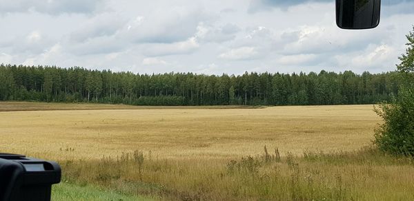 Scenic view of field against sky