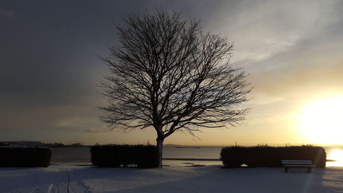 Bare tree on frozen landscape against sky during sunset