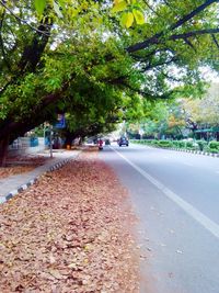 Road passing through trees