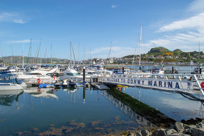 Sailboats moored at harbor