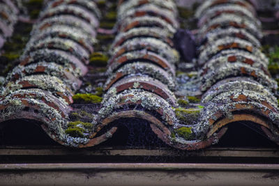 Close-up of tile roof