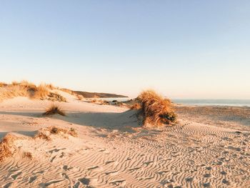 Scenic view of desert against clear sky