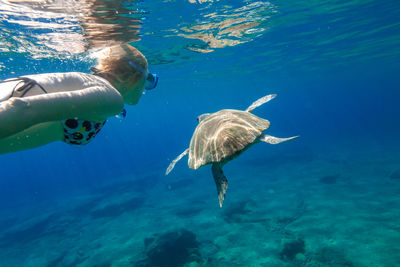 Woman swimming by turtle in sea