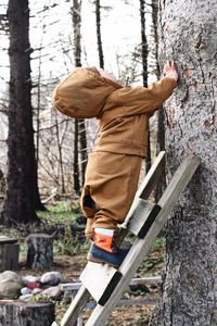 Man working on tree trunk in forest