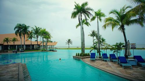 Palm trees on beach