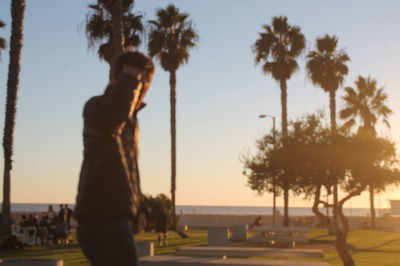 Palm trees at sunset