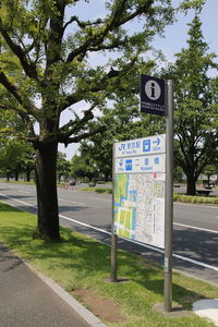 Information sign on tree