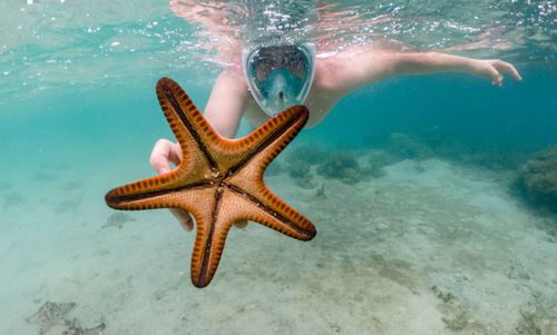 High angle view of man swimming in sea