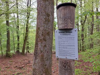 Information sign on tree trunk in forest
