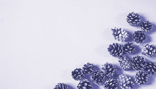 Directly above shot of christmas tree against white background