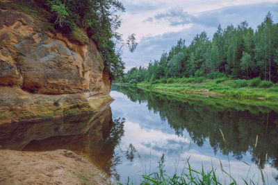 Scenic view of lake by trees against sky