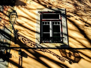 Window of house