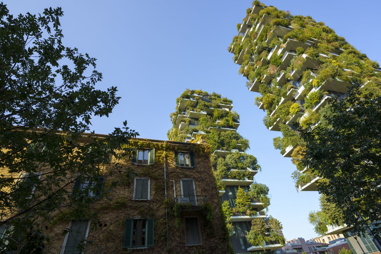 LOW ANGLE VIEW OF BUILDING