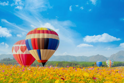 Multi colored hot air balloons on field against sky