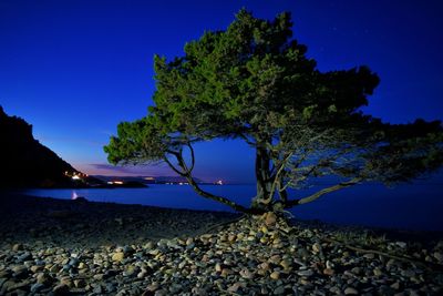 Scenic view of sea against clear sky at night
