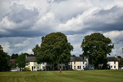 Trees and houses on field against sky