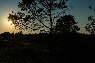 Silhouette trees on field against sky at sunset