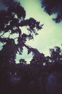 Low angle view of silhouette trees against clear sky