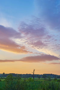 sky