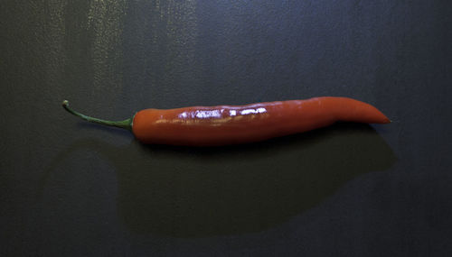 High angle view of tomato against white background