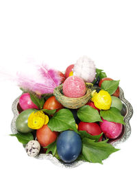 Close-up of fruit on white background