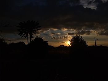 Silhouette trees against sky during sunset