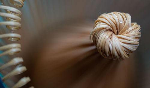 Close-up of spiral flower on table