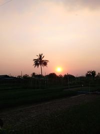 Silhouette palm trees on field against sky during sunset