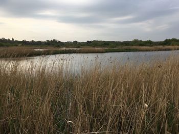 Scenic view of lake against sky