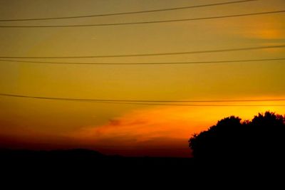 Silhouette of trees at sunset