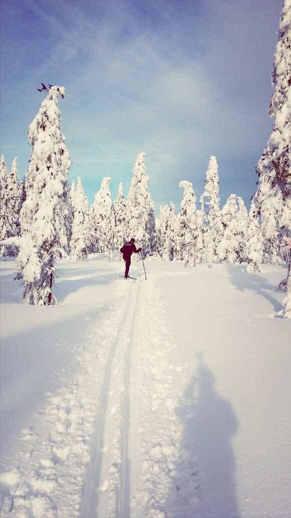 snow, winter, cold temperature, season, weather, leisure activity, full length, lifestyles, rear view, mountain, warm clothing, covering, white color, walking, skiing, tranquil scene, nature, men