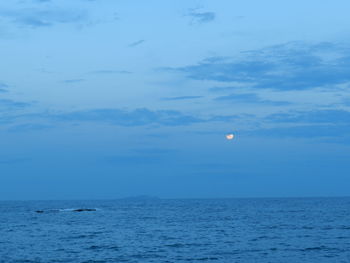 Scenic view of sea against blue sky