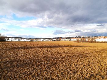 Scenic view of field against sky