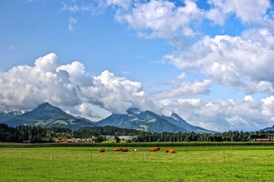 Scenic view of field against sky