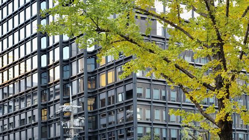 Low angle view of apartment building