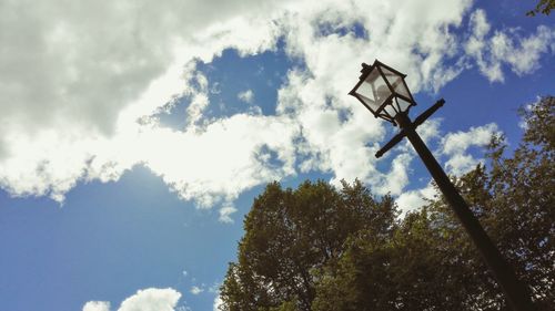 Low angle view of trees against sky