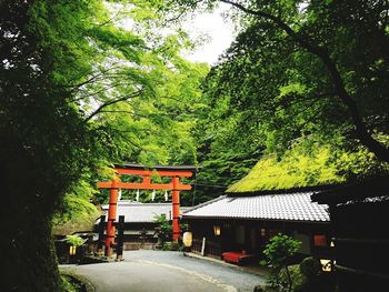 View of temple against trees