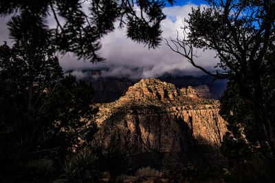 Low angle view of trees and rocks against sky